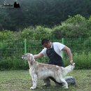 로렐 이미지