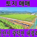 지성부동산중개 이미지