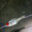 대청유치원 이미지