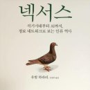 넥서스