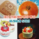 강릉농협 고단지점 | 대전 여행 코스 성심당만큼 대전 핫플 천하제빵 빵집 하레하레 5개 지점 총정리