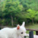 화이트랜드편의점 이미지