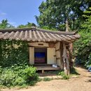 베스트365의원 이미지