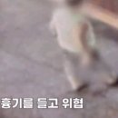 제기39 이미지
