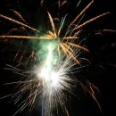 강과소나무 이미지