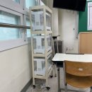 5月 : 24년도 70회 한국사능력검정시험 1급 완료