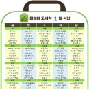 울엄마 도시락 네이버블로그