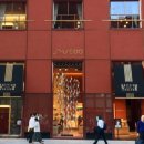 오모테산도카레 이미지