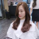 일센치헤어 이미지