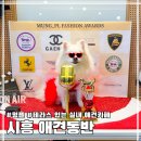 시흥시 환경미화타운 | 시흥 야외 테라스가 있는 무인 실내 애견카페 멍플