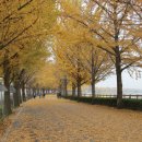 양갑리마을회관 이미지