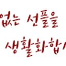 터틀투맨 이미지