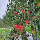 거창-고제-5 이미지