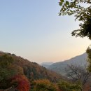 가을여행 | 화담숲 예약 꿀팁! 단풍시기 맞춘 가을여행 추천 후기