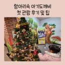 유아 공연 관람 암사어린이극장 항아리속 아기도깨비 4살 후기