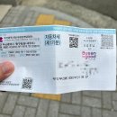진영스