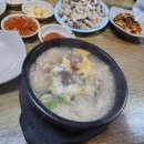 평원 이미지