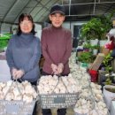 연합농장 이미지