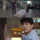 주먹다짐 스포츠동아