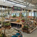 산수로R 이미지