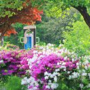 시인의마음 이미지