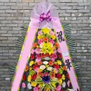 마산시농협하나로마트 이미지