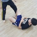 팀베스트 정심관(MMA) 이미지