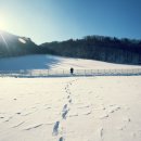 새하얀목장 이미지