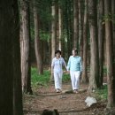 에코리조트 이미지