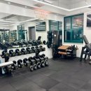 머슬마니아짐 이미지