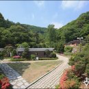 수원-1814 Daum카페