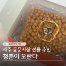 청춘맥주공장 | 매장에서 직접 만드는 제주도 '청춘이 오란다' 제주 동문시장 기념품 추천