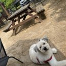 살롱드 멍 이미지