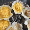 조개명당 이미지