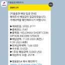 243 | 매주 받는 배당수익률 243% ETF, 직접 실험 후기