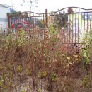 청송중고등학교 앞 이미지