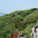 장사도해상공원 이미지