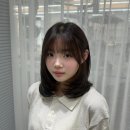 나영파크 이미지