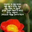 샬롬 - 제주시 신광로 27 | 샬롬