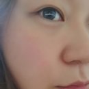눈썹대장 이미지