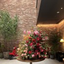 논현로190길(친목길) | 내돈내산 호캉스:) 서울호캉스/ 캐빈B후기/ "아난티 앳 강남" 조식/ 룸서비스