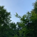 국립유명산자연휴양림 관리사무소 2층 공중화장실 | 유명산자연휴양림 연립동 숙박후기(물놀이장 자연휴양림)