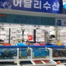 간절곶수산 이미지