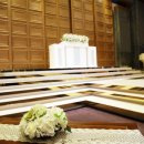 그레이스하우스 이미지