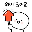 보드미펫 이미지