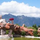 짱족의발전 이미지