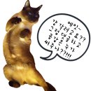 서림한약국 | 【한약다이어트】서림한약 다이어트 후기 / 단기간다이어트.