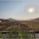 사평전통시장 이미지