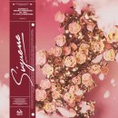 리듬감up라인댄스 이미지