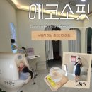 춘천다이어트 에코소핏 : 누워서하는 다이어트 직접 받아본 솔직후기